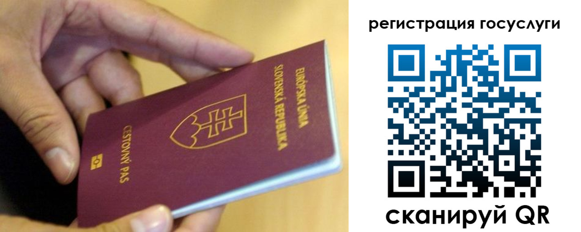 прописка в квартире в Фрязино